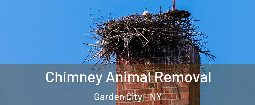  Chimney Animal Removal Garden City - NY