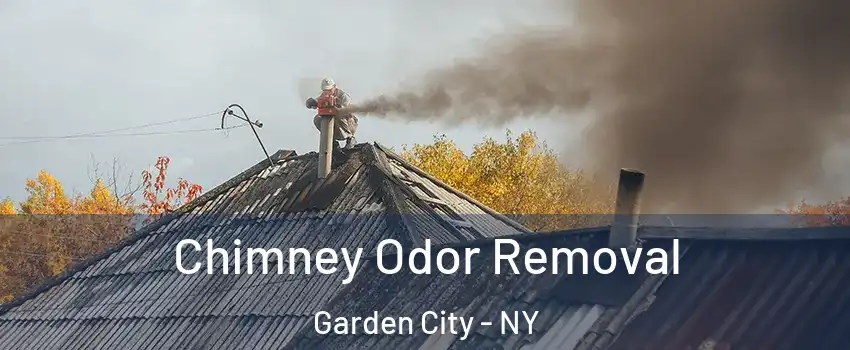  Chimney Odor Removal Garden City - NY