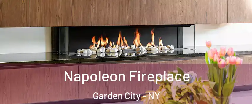  Napoleon Fireplace Garden City - NY